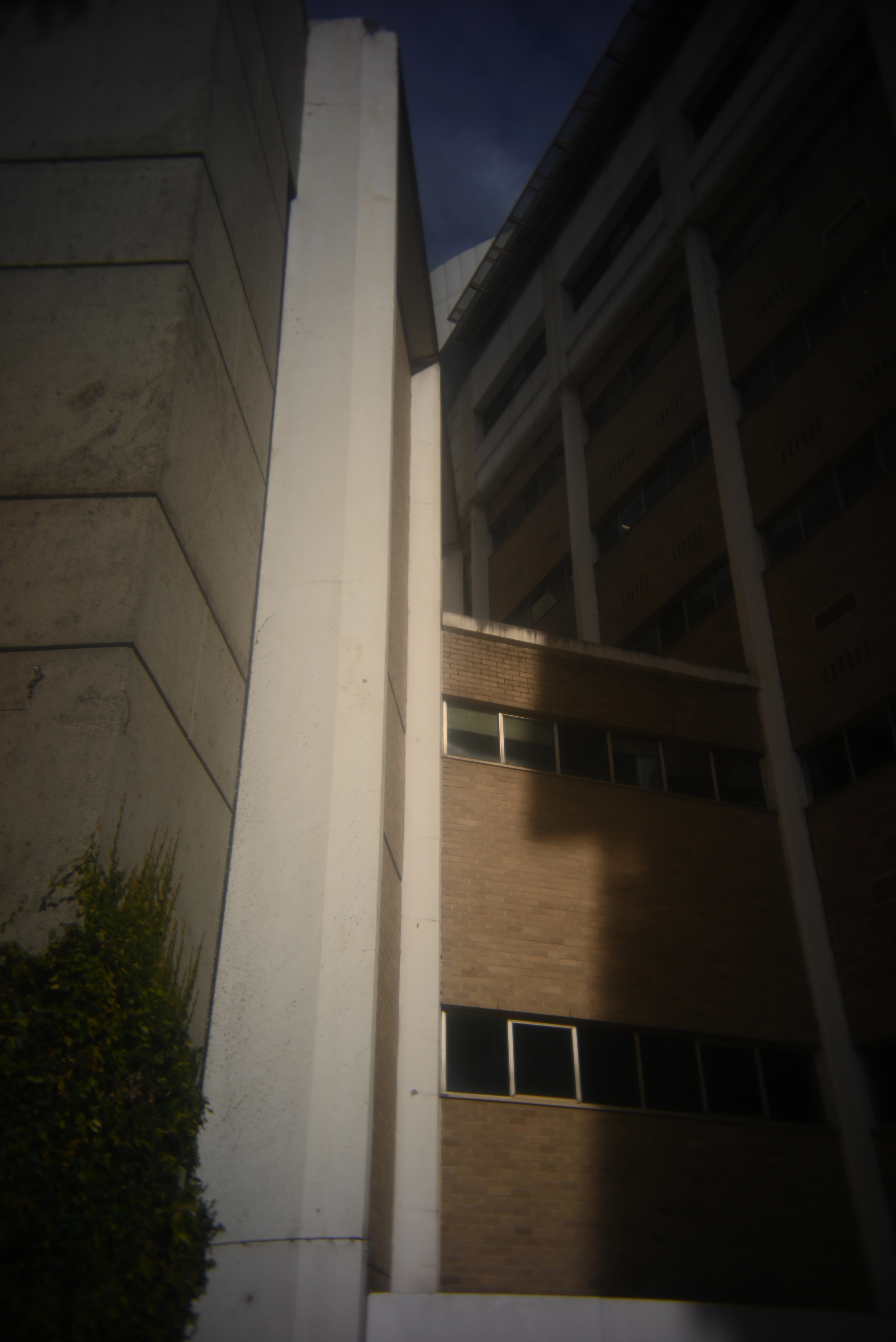 Melbourne (2024)