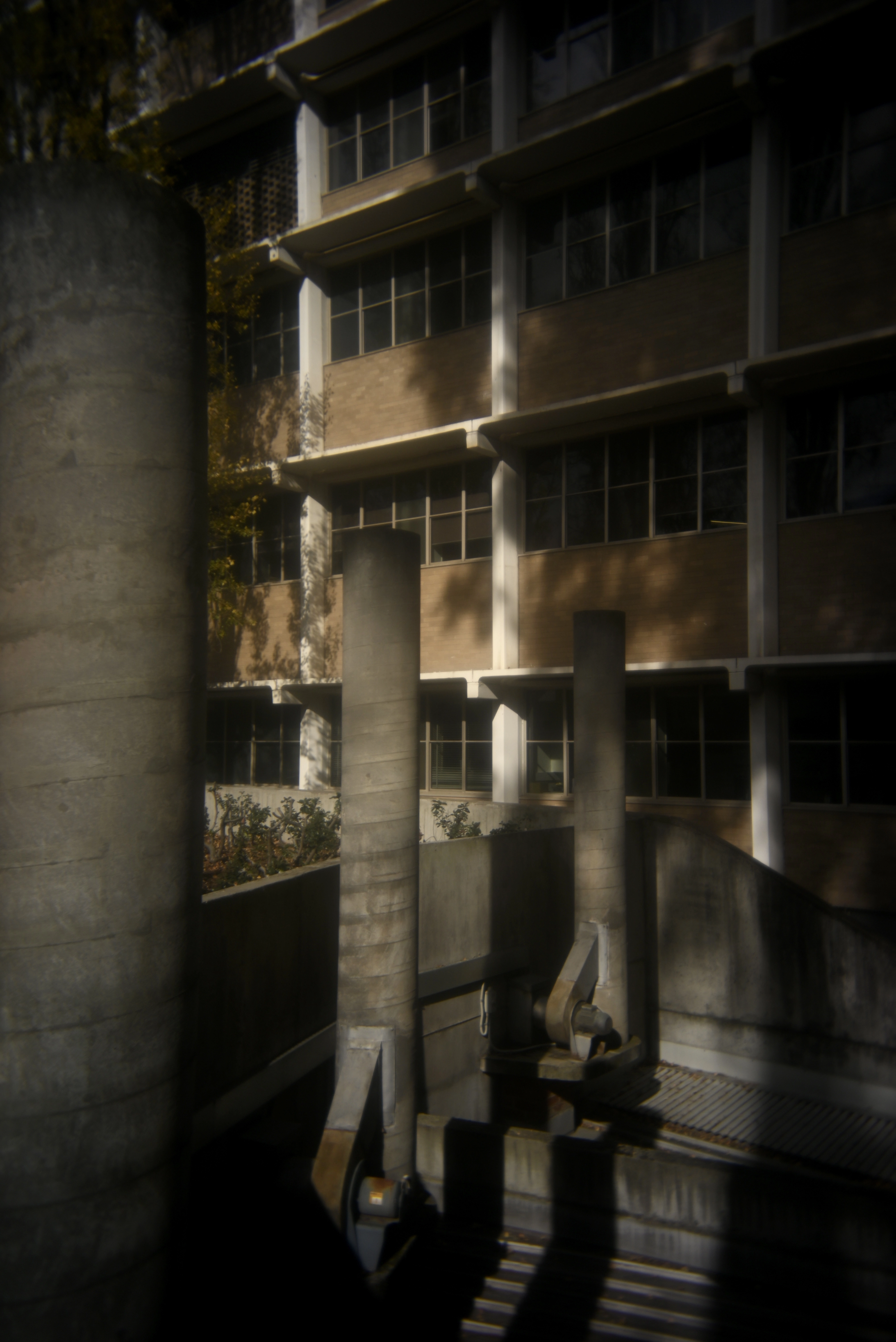 Melbourne (2024)