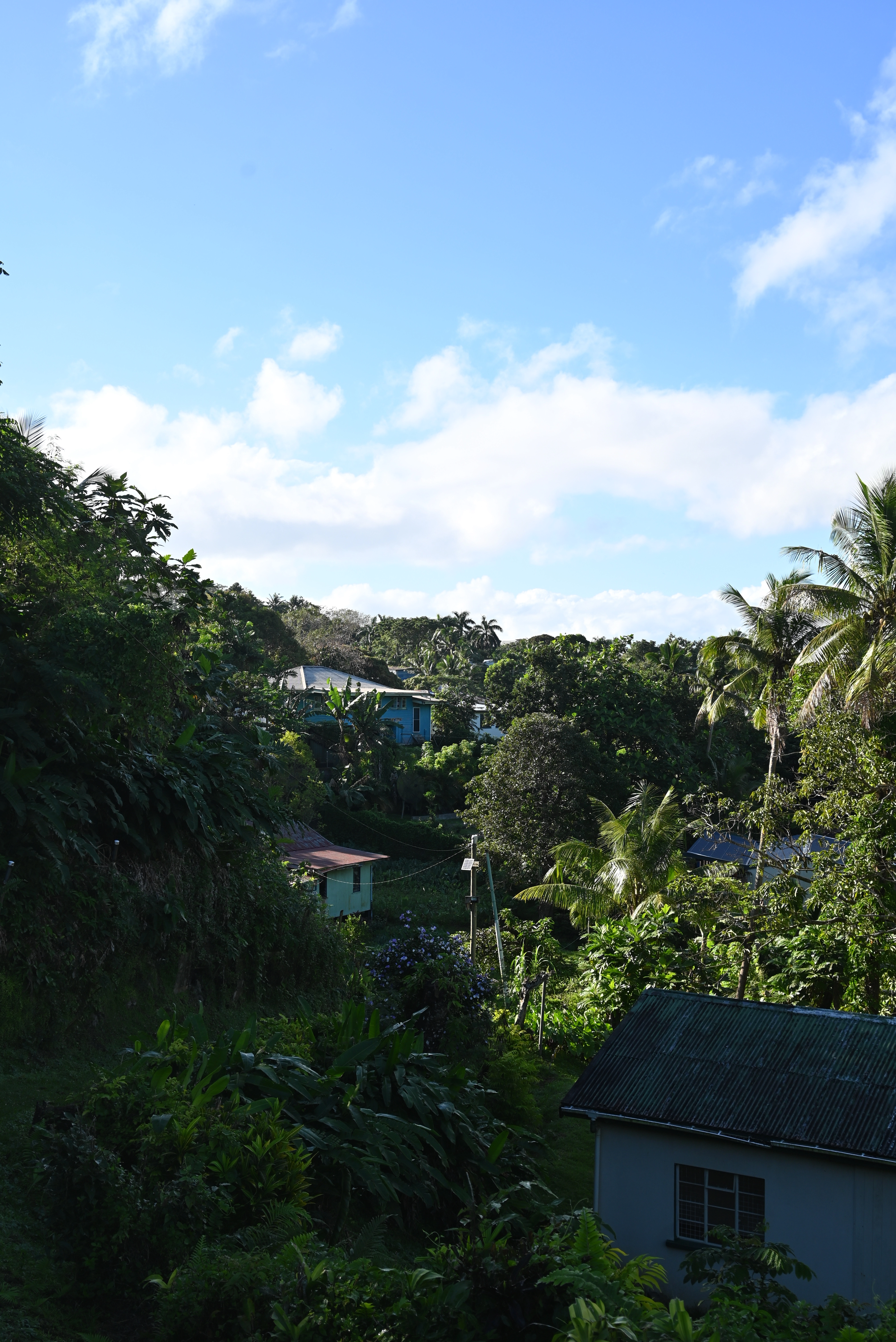 Suva City (2024)