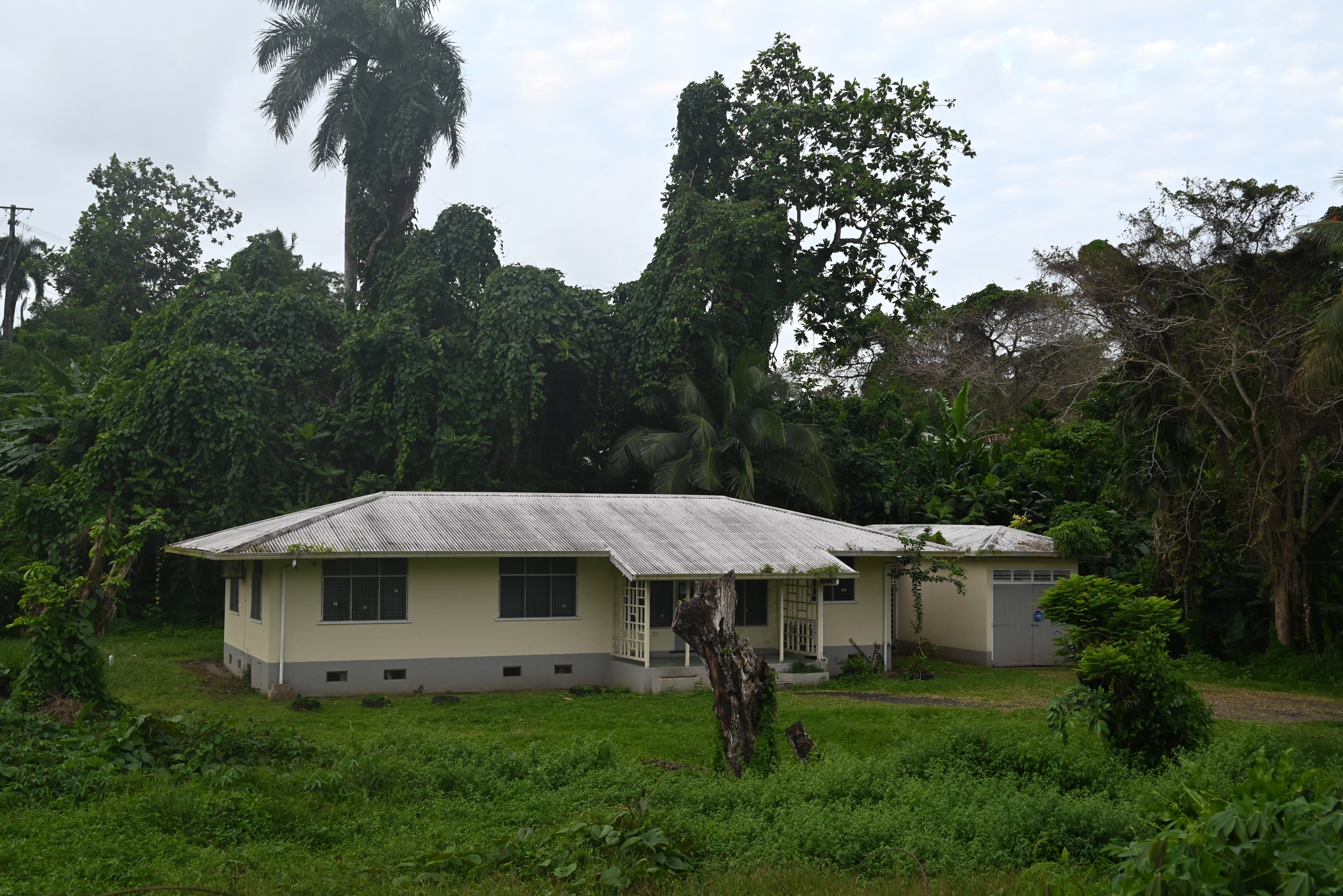 Suva City (2024)