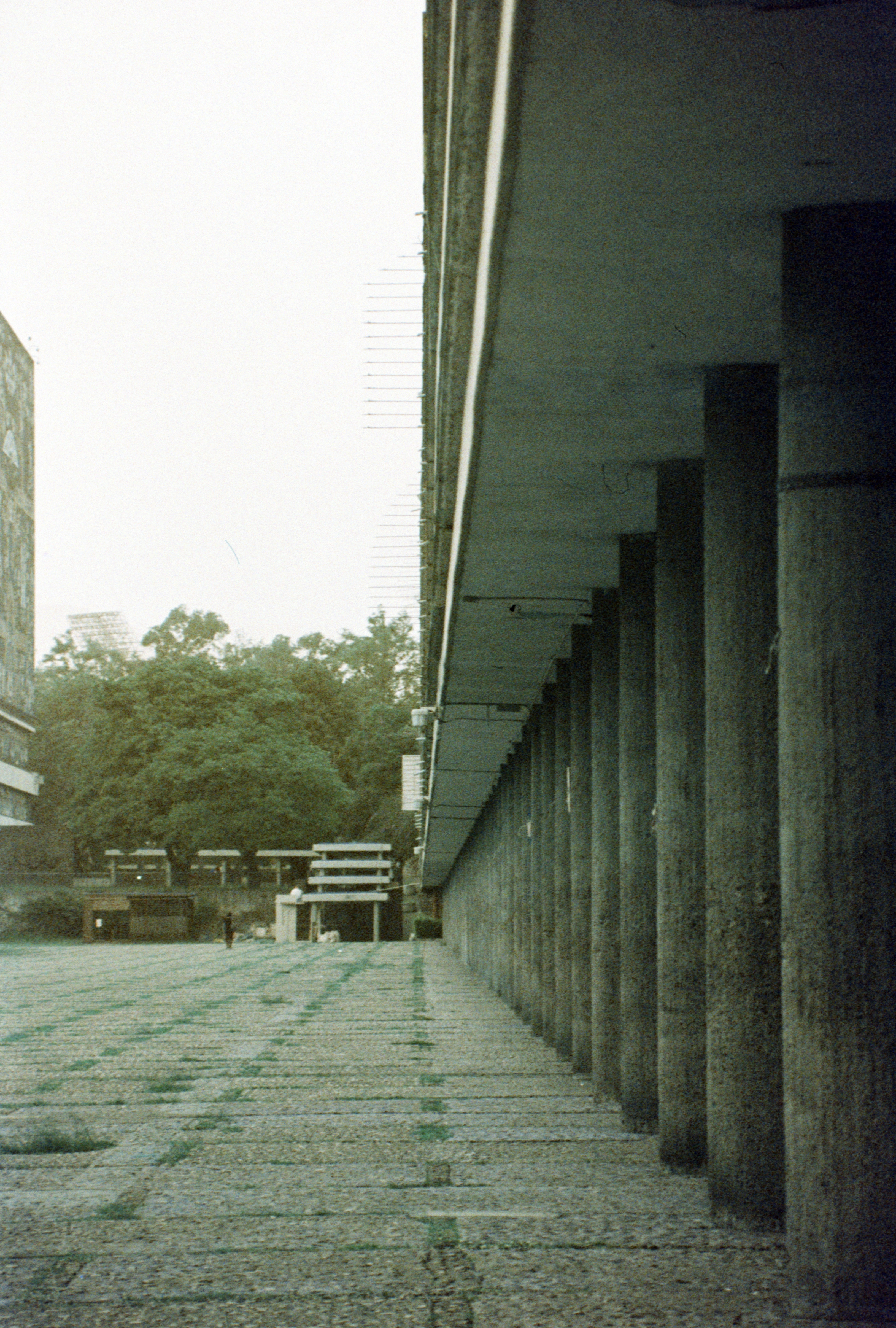 UNAM (2025)