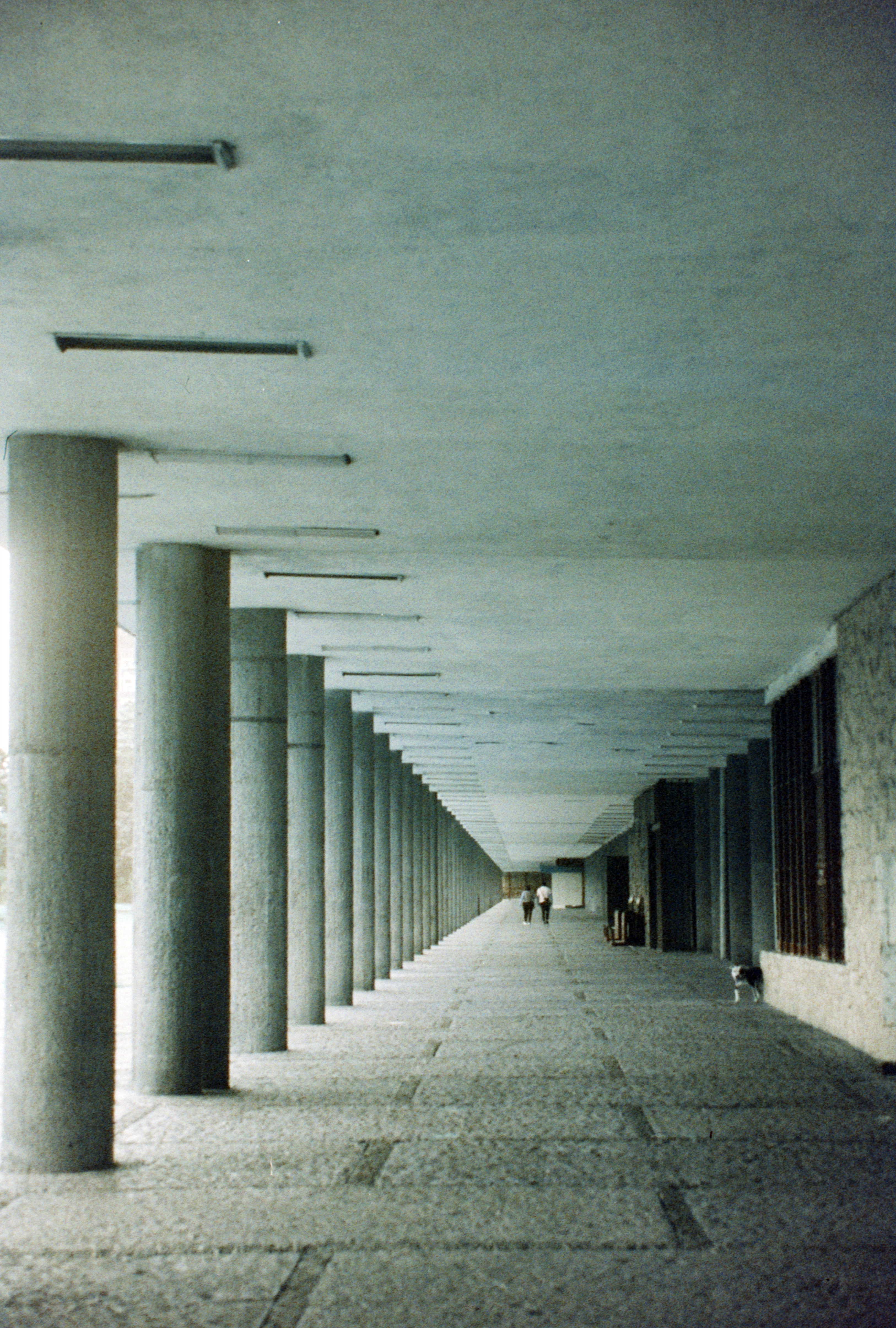 UNAM (2025)