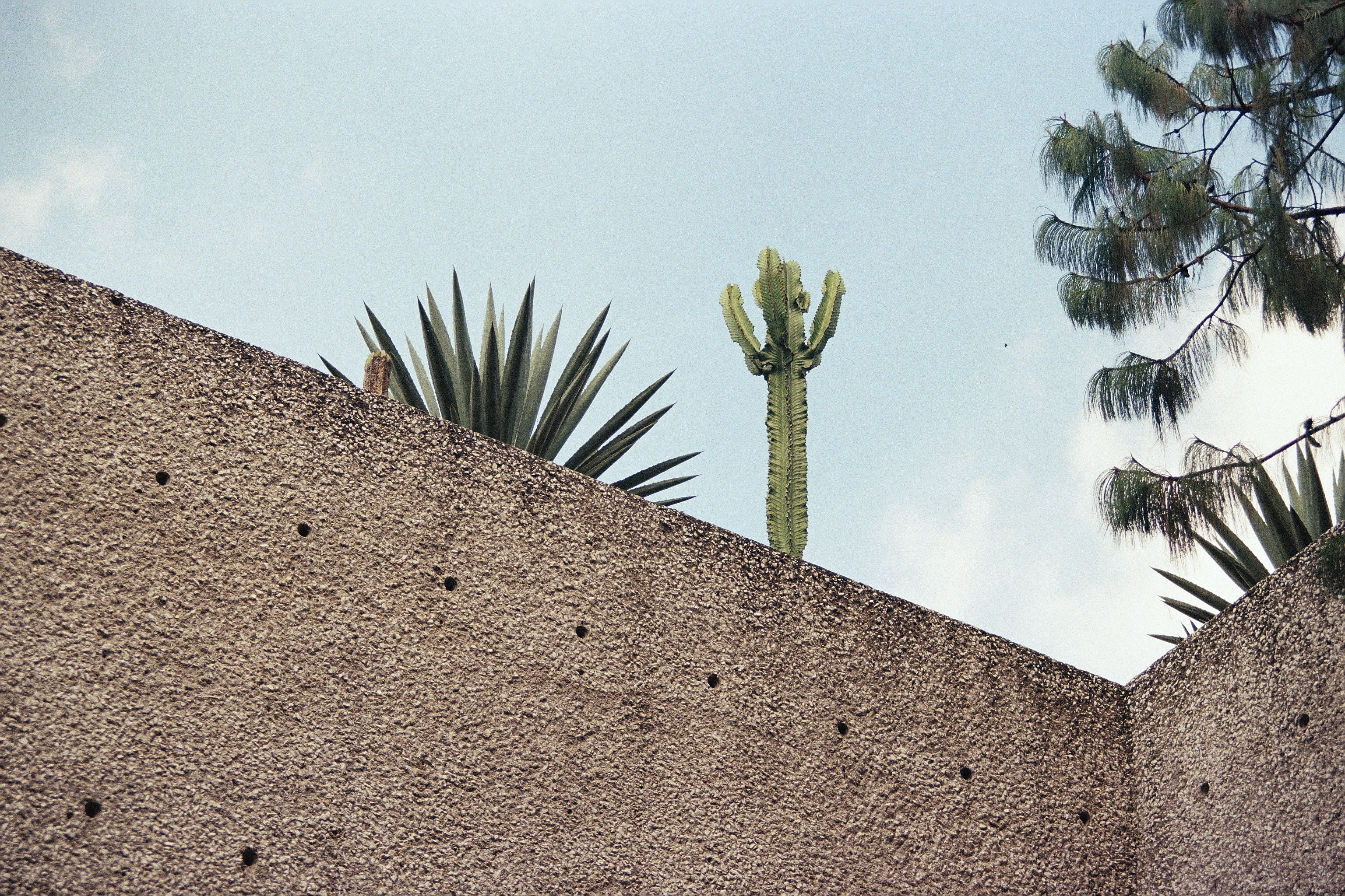 Museo Rufino Tamayo (2025)