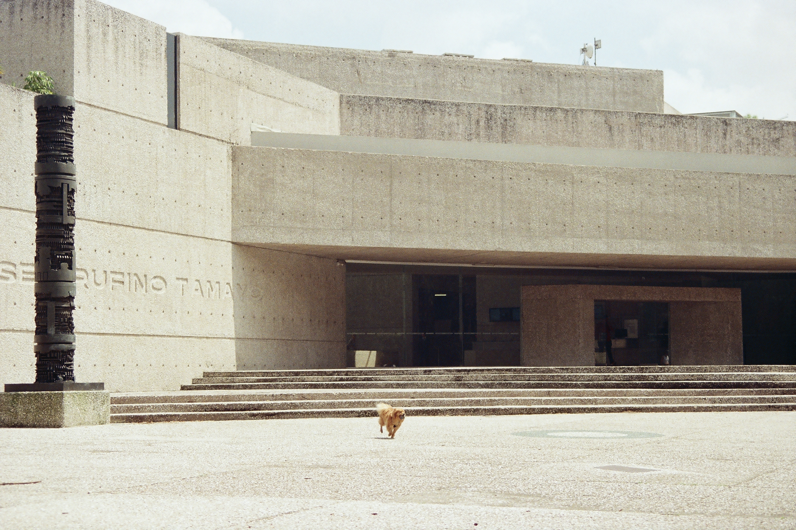 Museo Rufino Tamayo (2025)