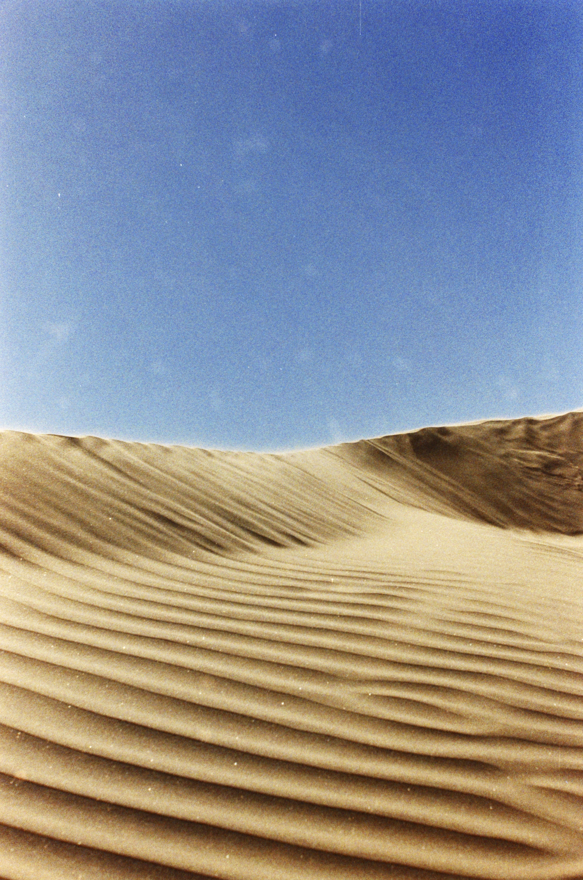 Bahia de Magdalena (2026)