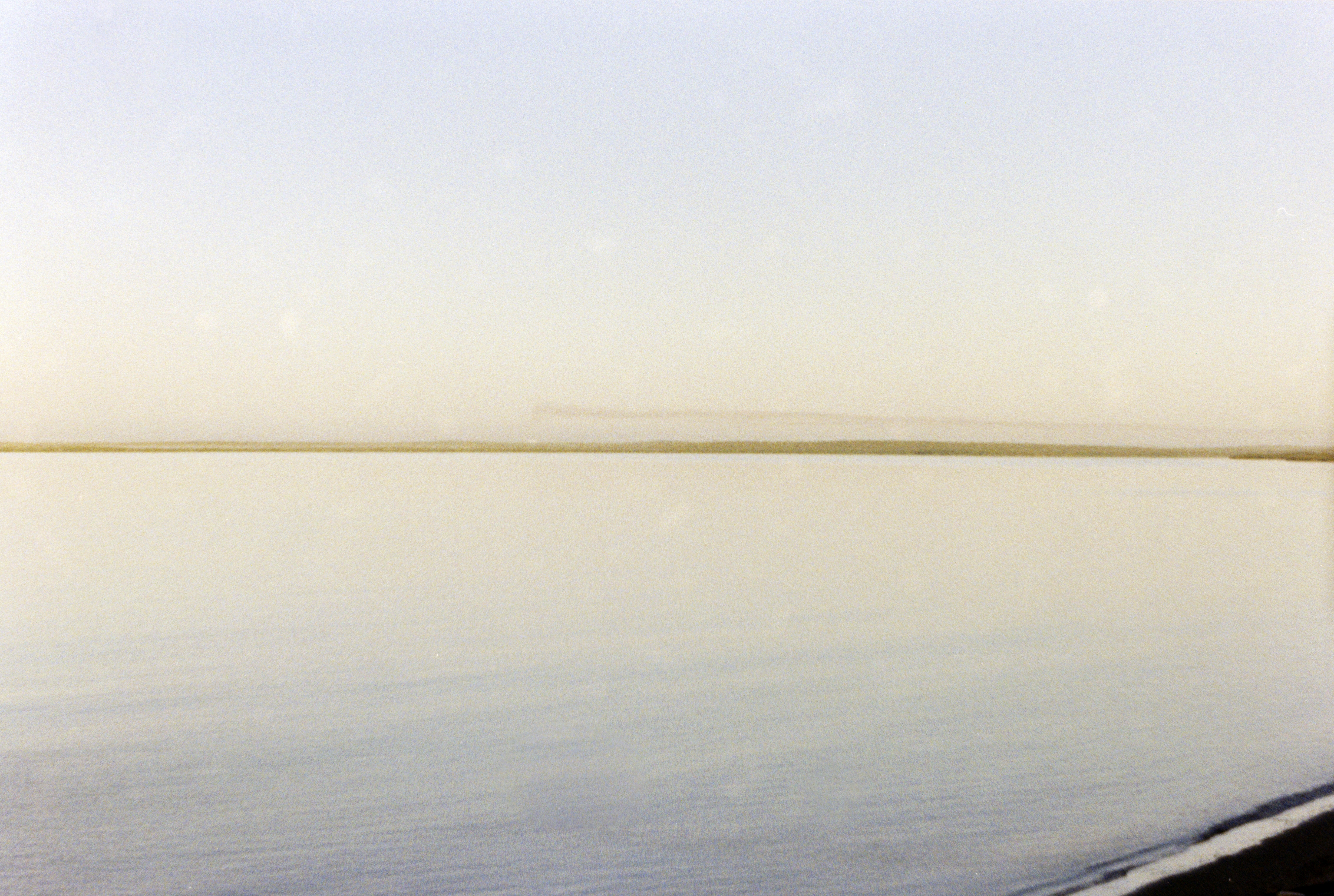 Bahia de Magdalena (2026)