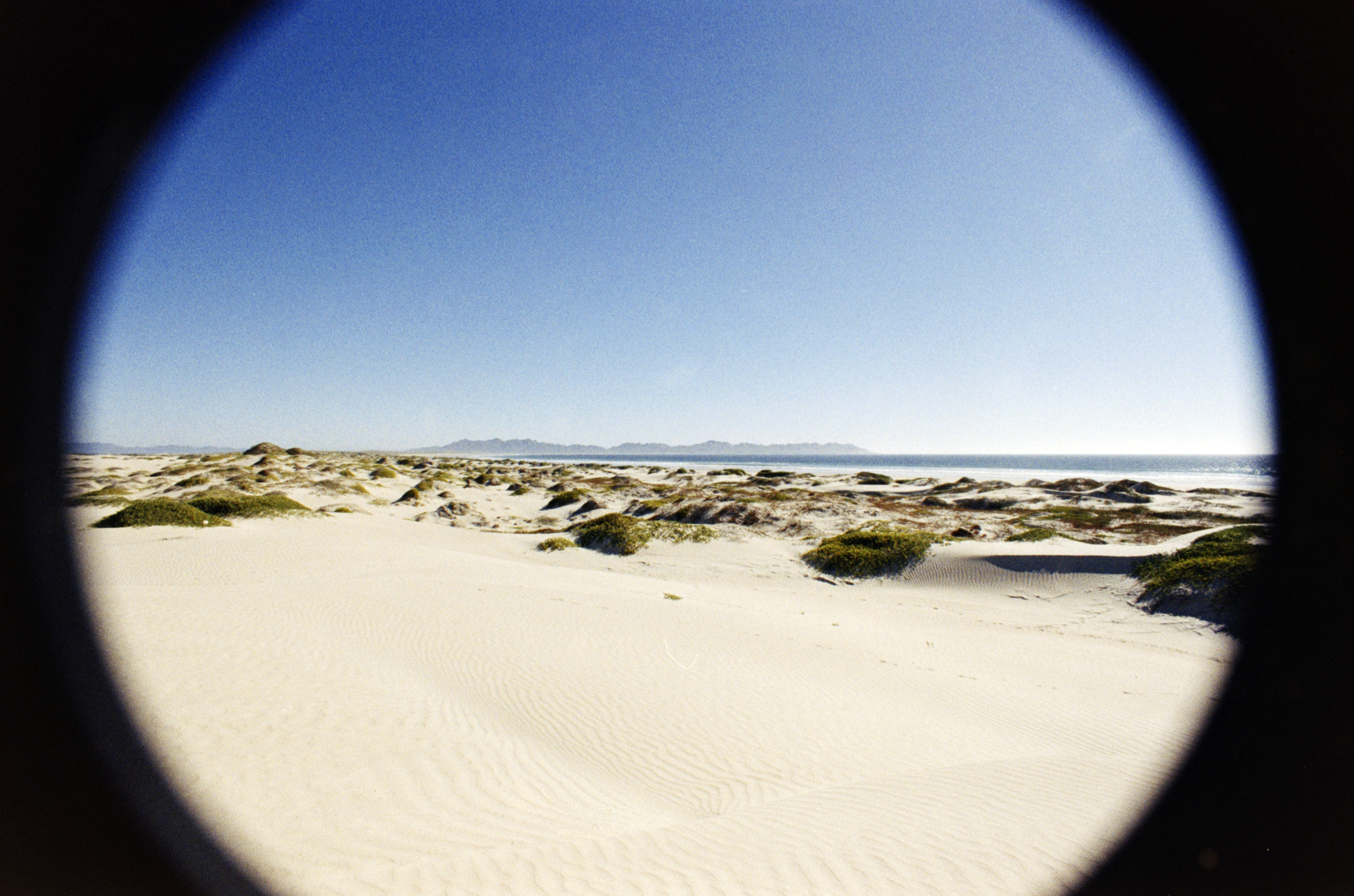 Bahia de Magdalena (2026)