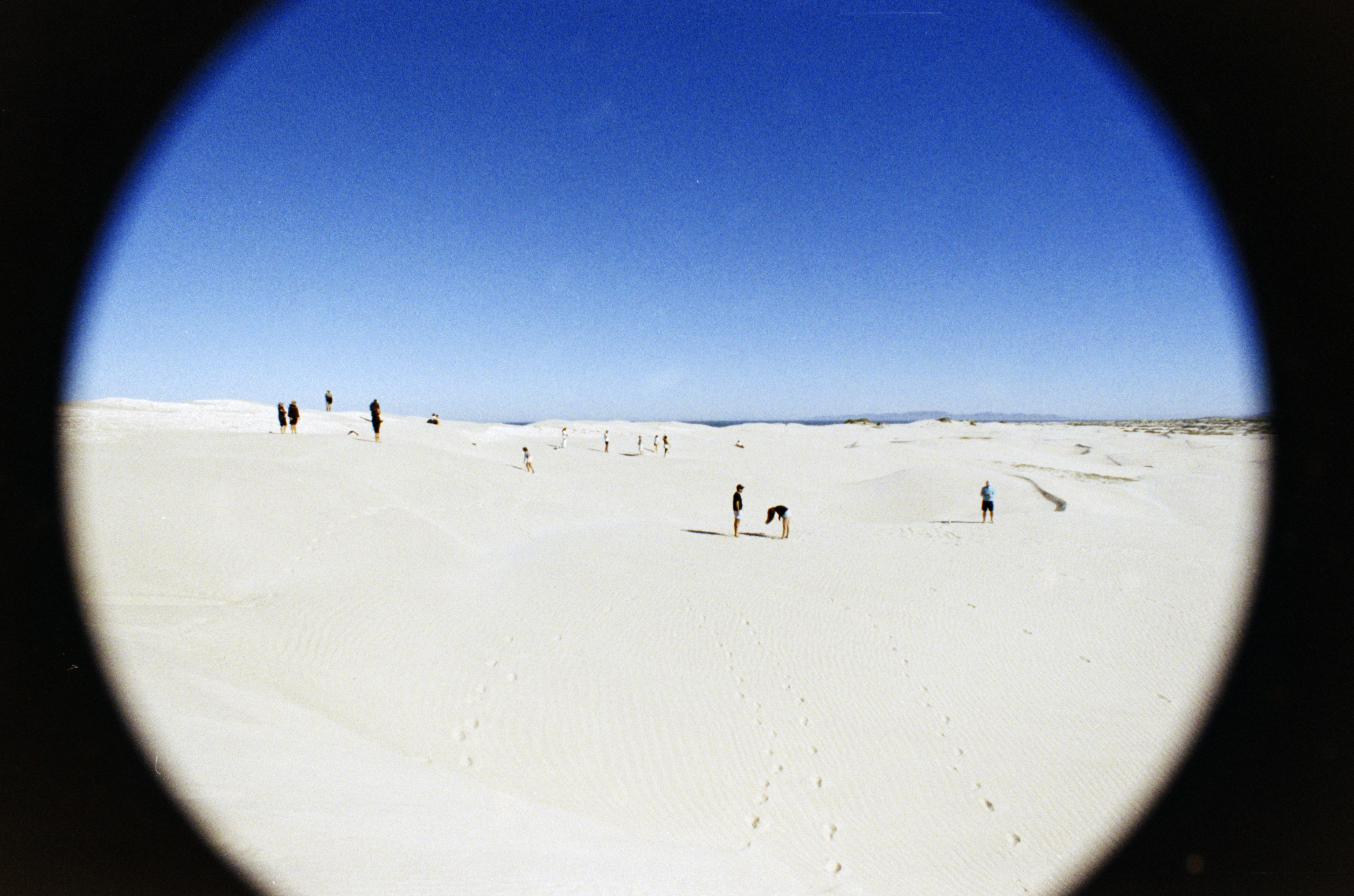 Bahia de Magdalena (2026)