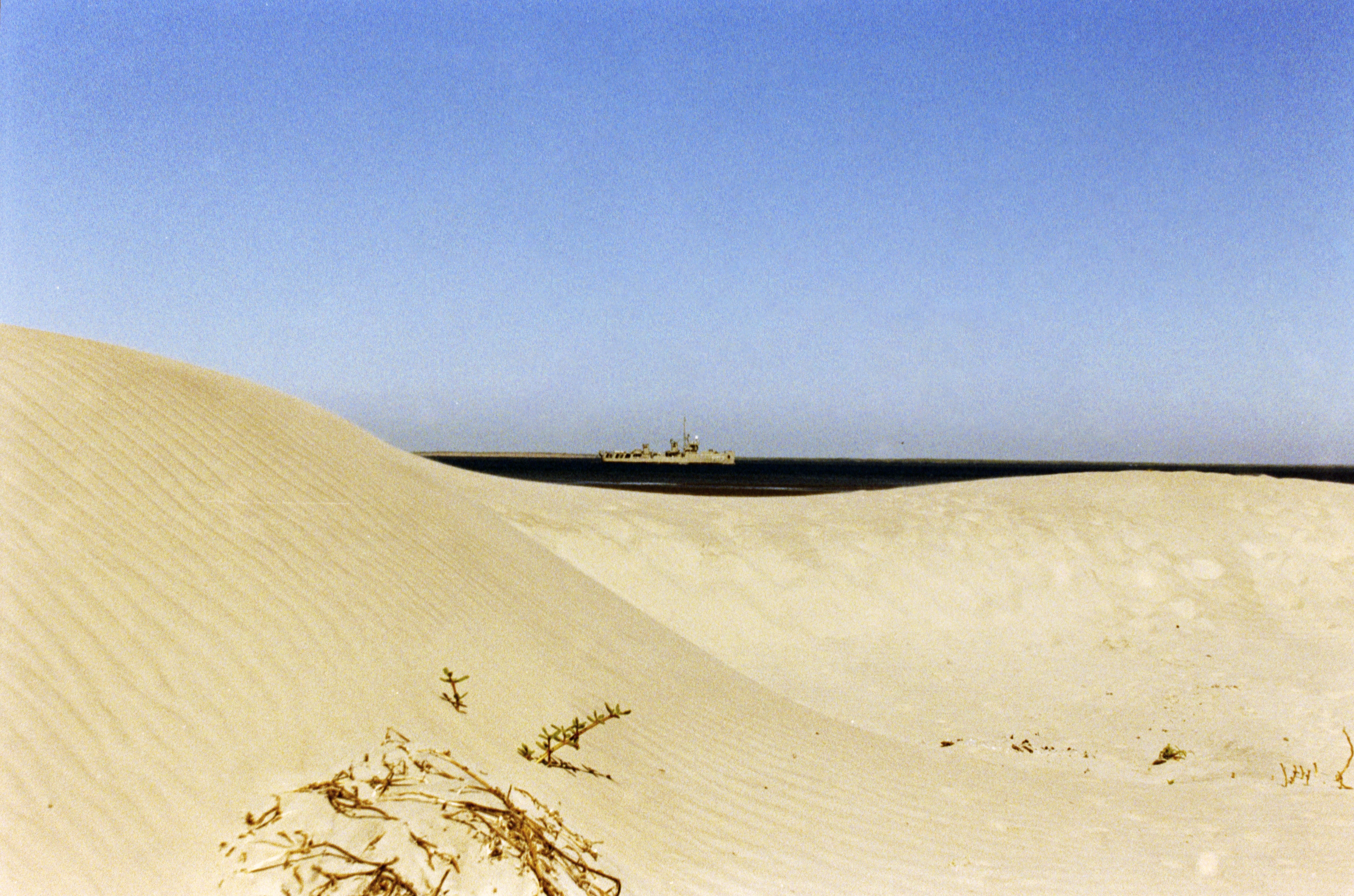 Bahia de Magdalena (2026)