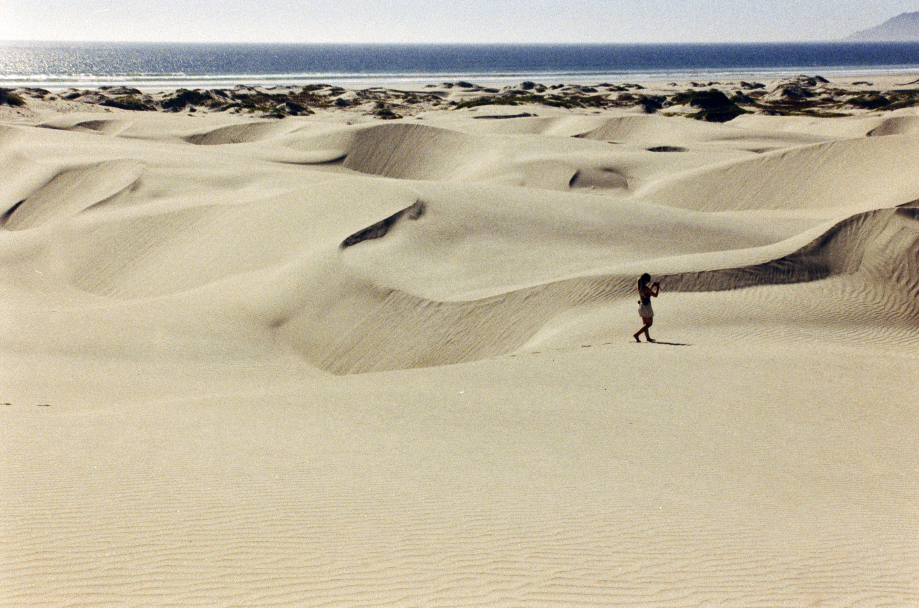 Bahia de Magdalena (2026)