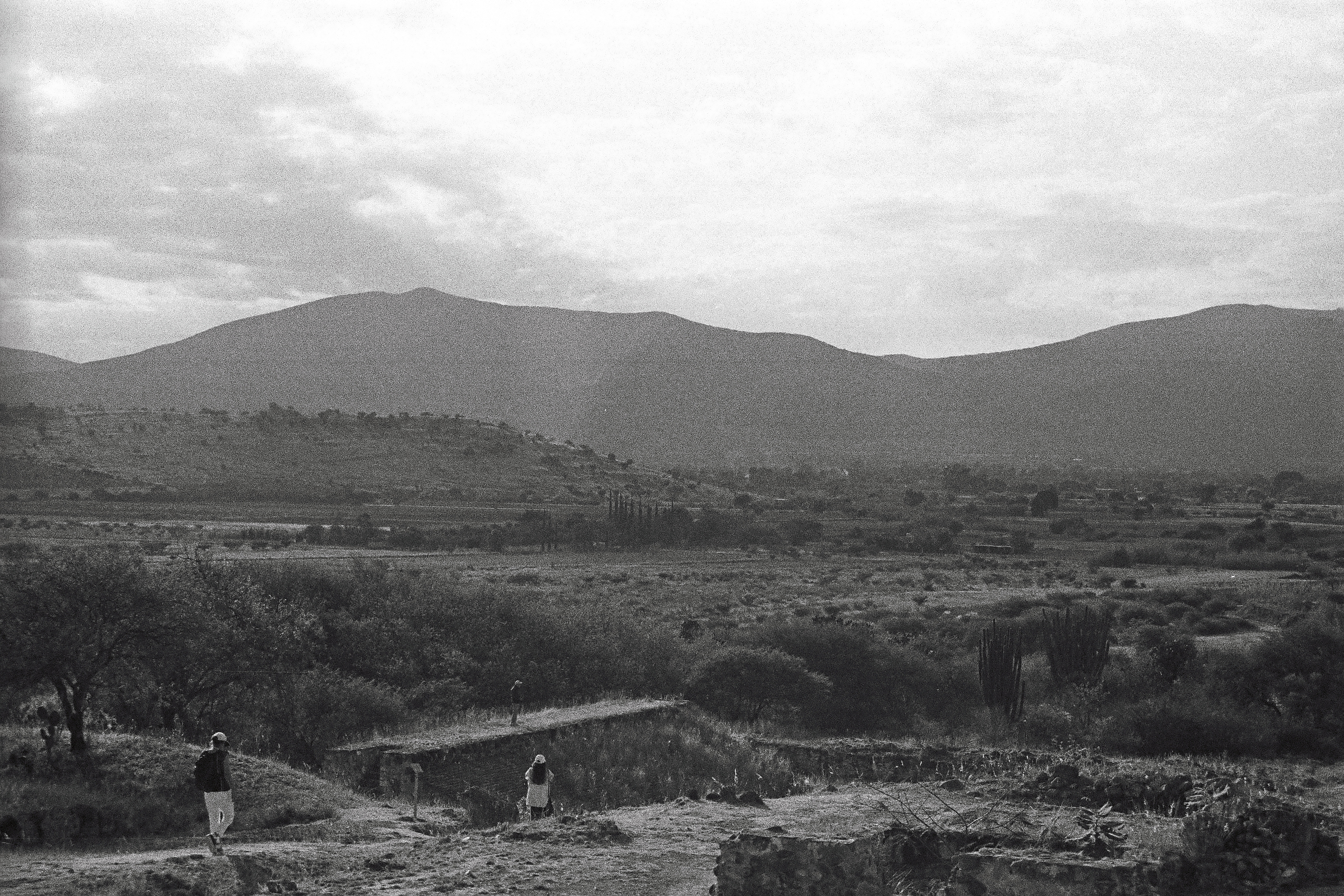 Zona Arqueológica Dainzú (2025)