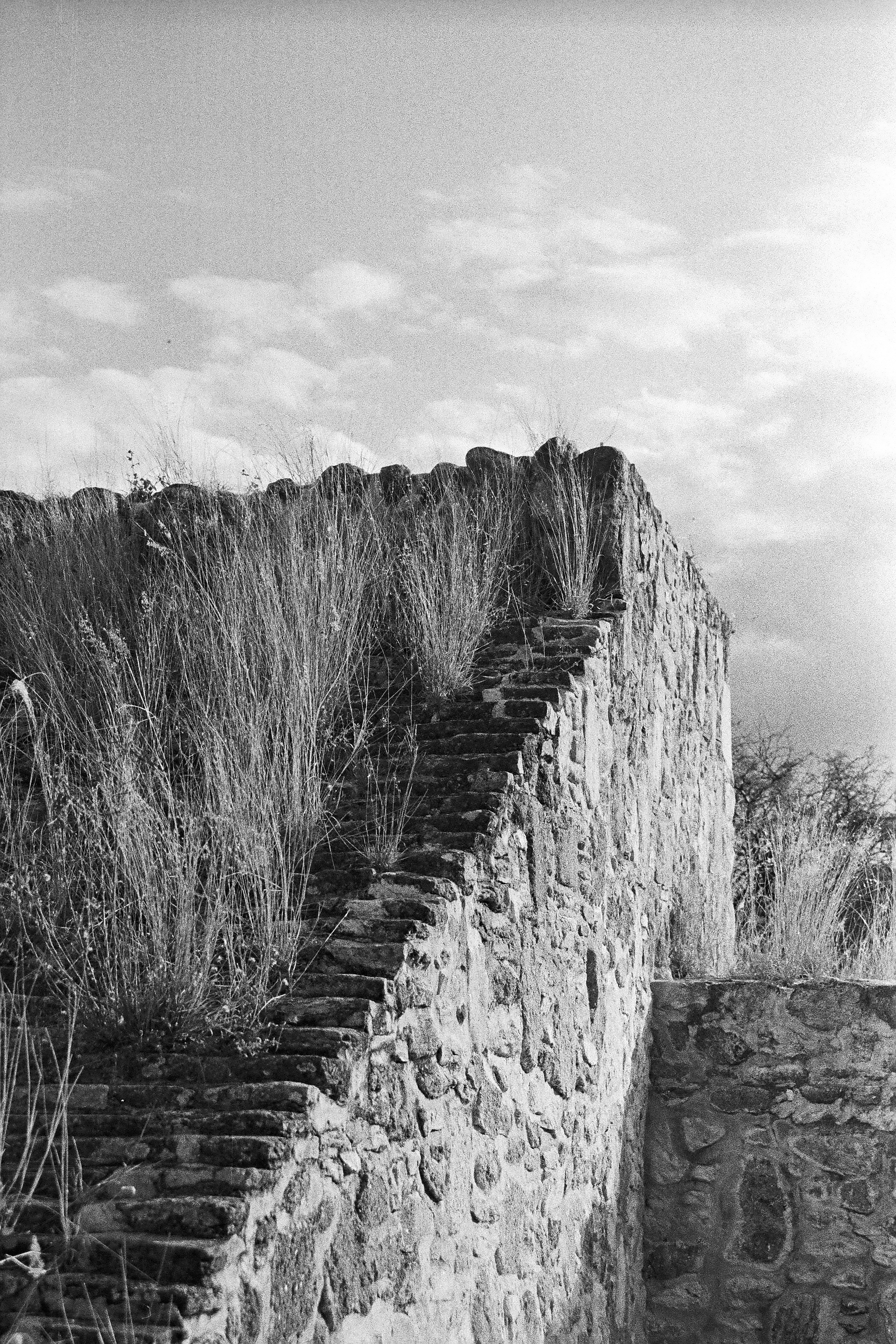 Zona Arqueológica Dainzú (2025)