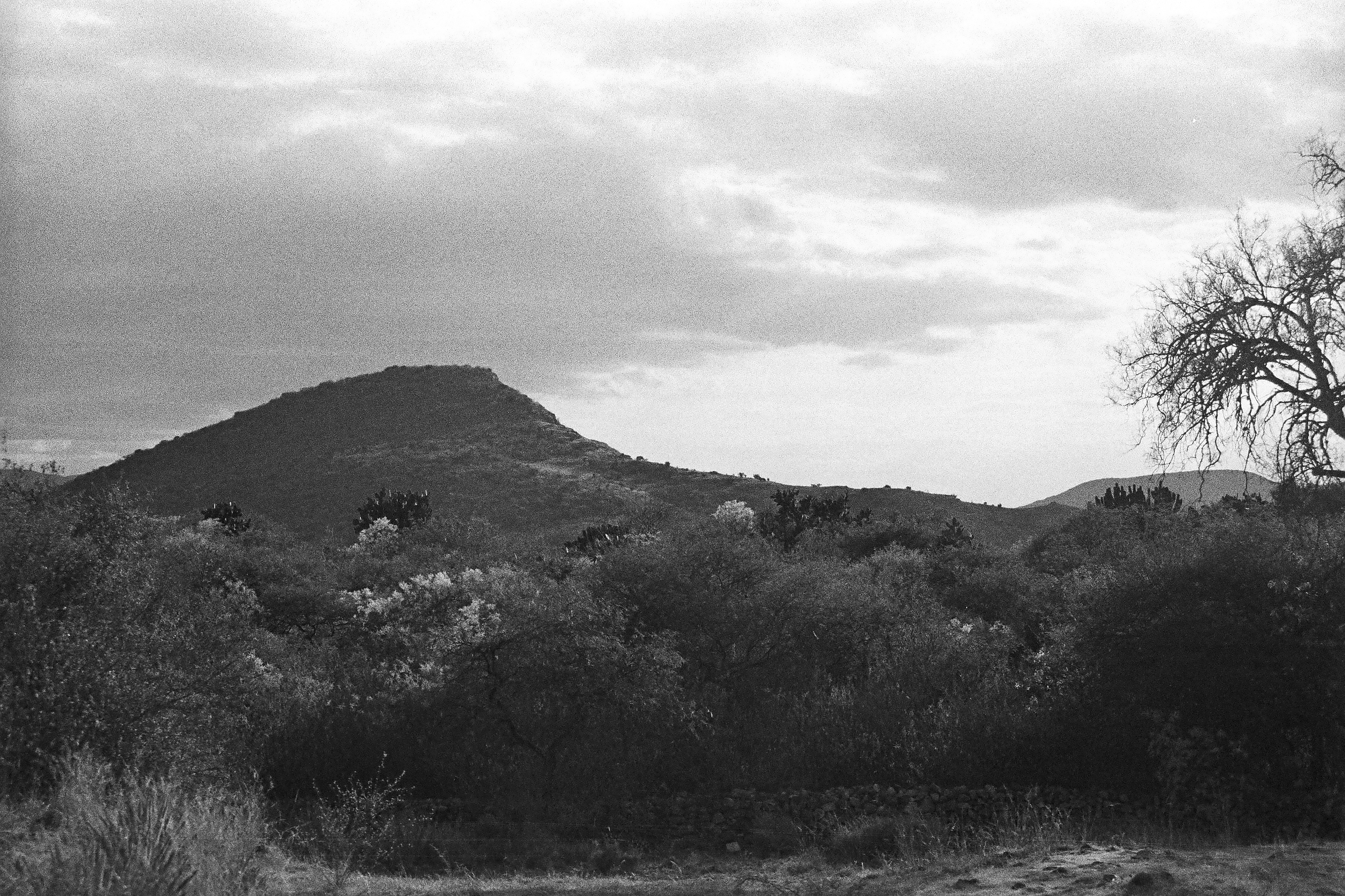 Zona Arqueológica Dainzú (2025)